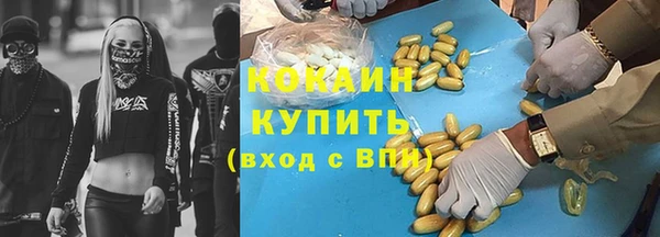 МДПВ Протвино