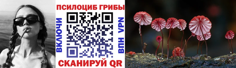Псилоцибиновые грибы мухоморы  Крым 